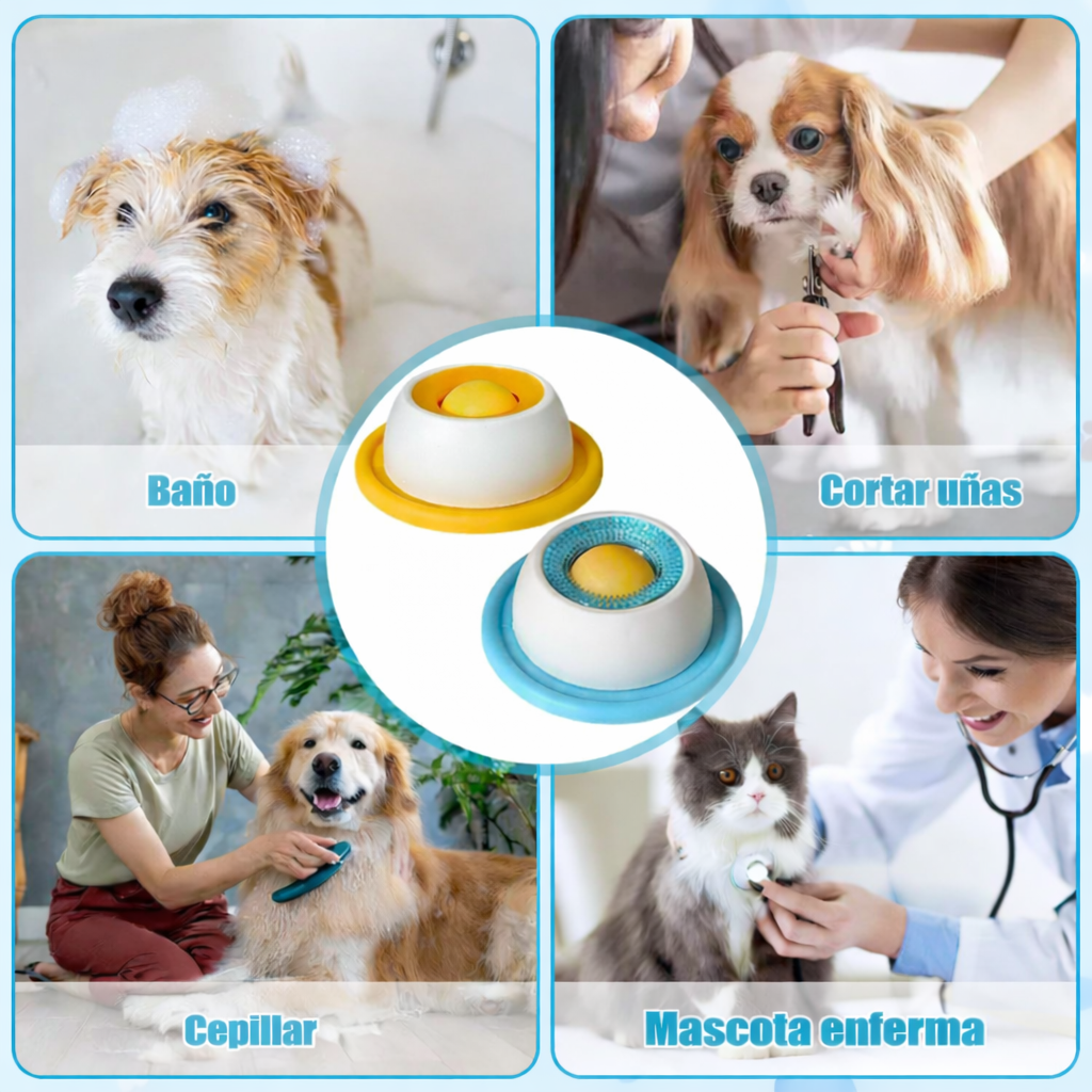 Comedero Ergonómico Anti-ansiedad con Bola