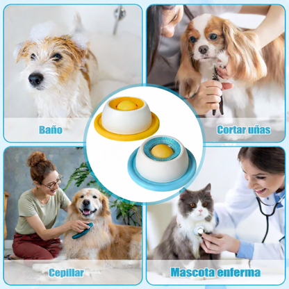 Comedero Ergonómico Anti-ansiedad con Bola